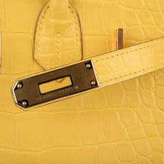 Birkin 30 Bag Mimosa Matte Alligator Gold Hardware