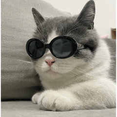 Pet Sunglasses