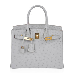 Birkin 30 Bag Gris Perle Ostrich with Gold Hardware