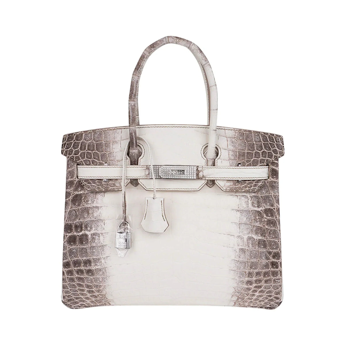 Birkin 30 Bag Diamond Himalaya Blanc Matte Niloticus Crocodile with 18k White Gold Hardware