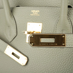 Birkin 30 Bag Sage (Sauge) Clemence Leather Gold Hardware