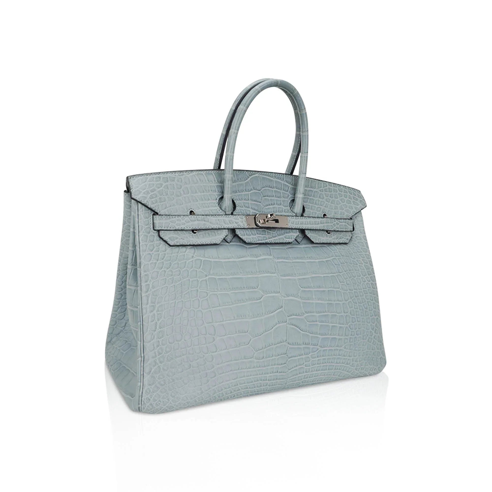 Limited Edition Birkin 35 Bag Ciel Matte Alligator with Palladium Hardware