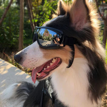 Pet Goggles Dog Sunglasses