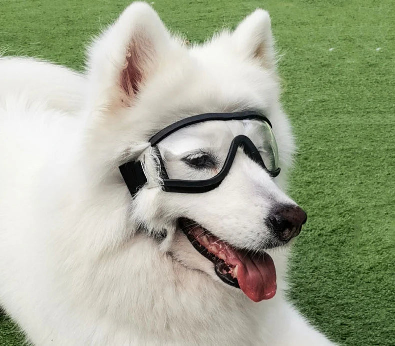 Pet Goggles Dog Sunglasses