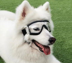 Pet Goggles Dog Sunglasses