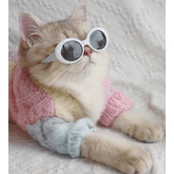 Pet Sunglasses