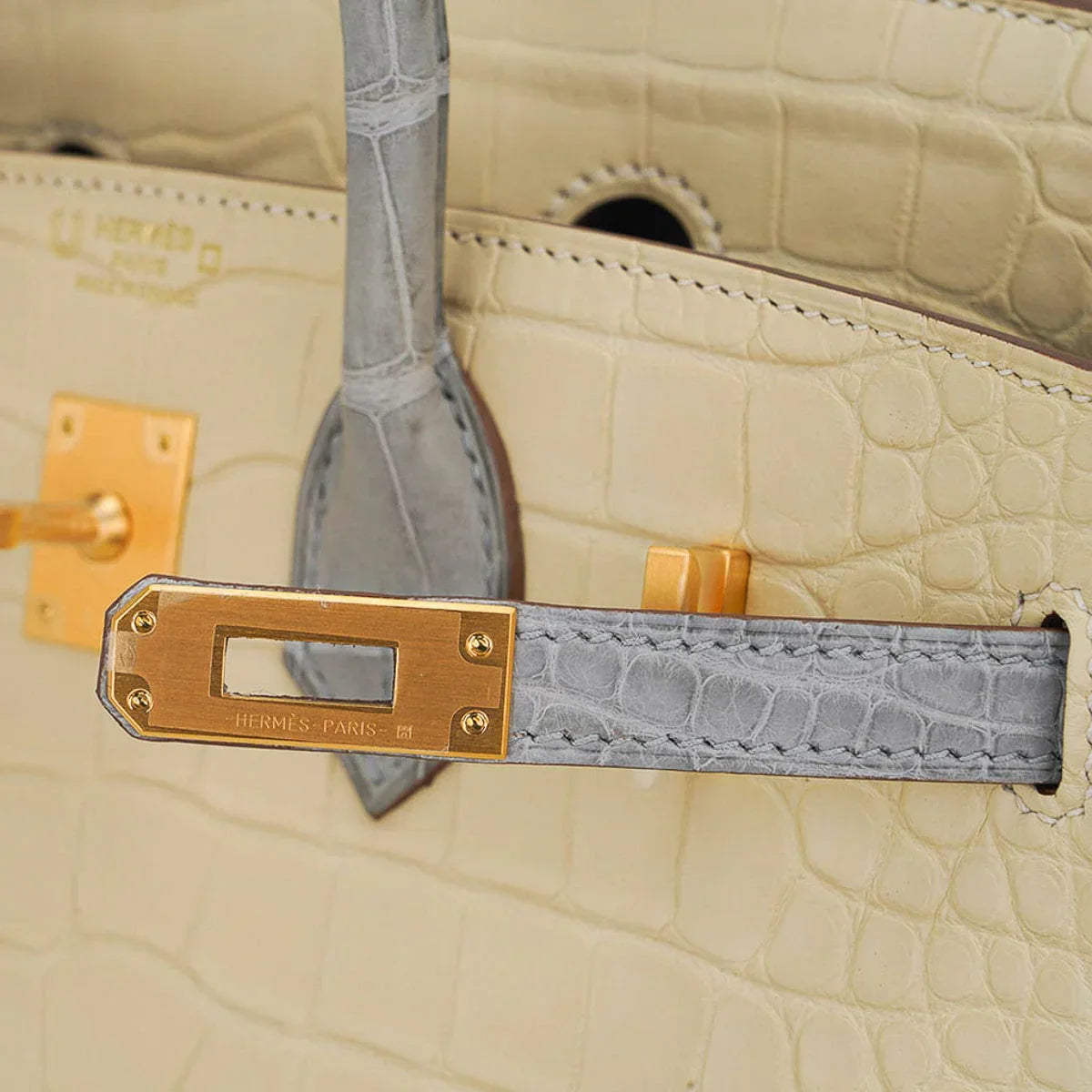 Special Order HSS Birkin 25 Bag in Matte Alligator Vanille and Gris Pearl Alligator with Brushed Gold Hardware