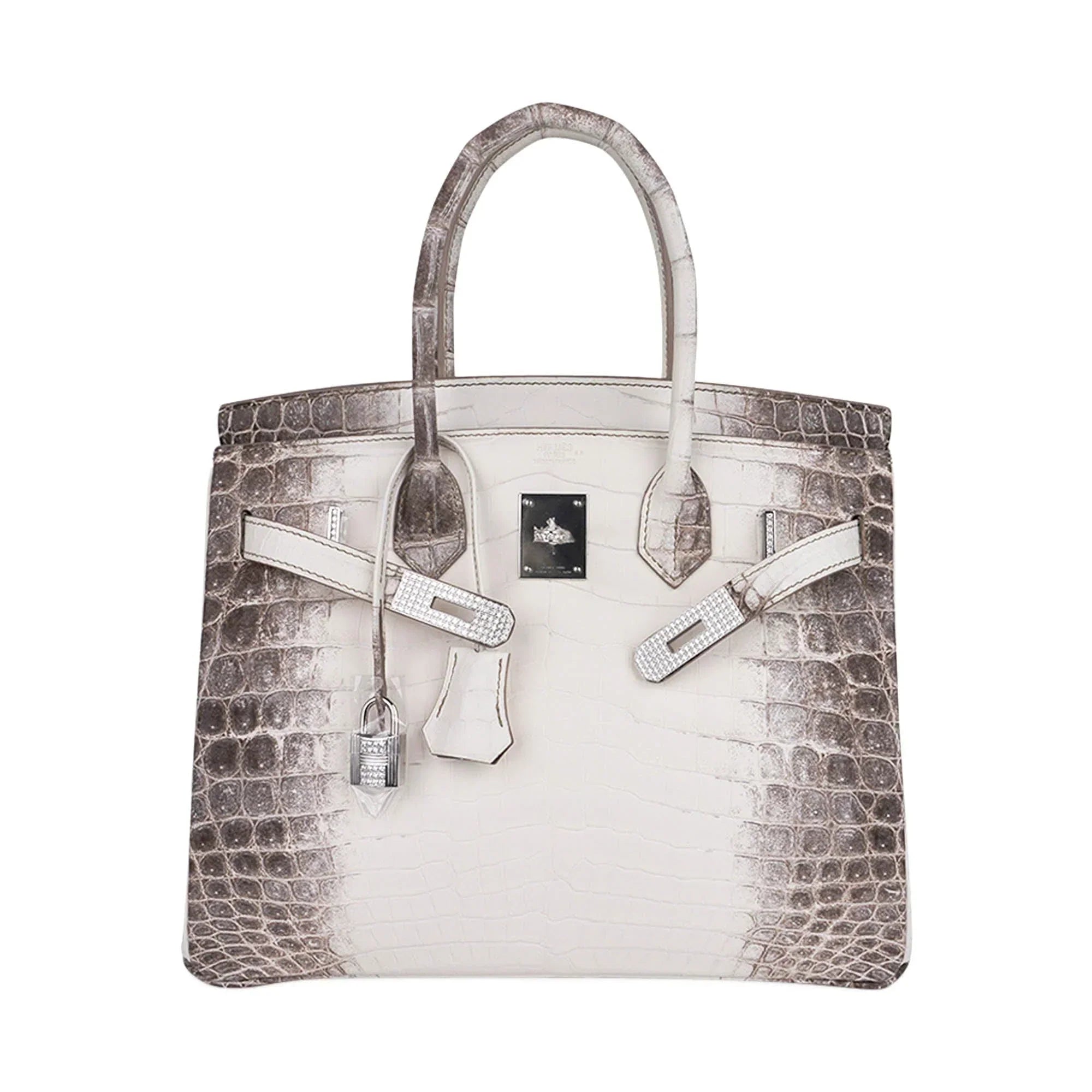 Birkin 30 Bag Diamond Himalaya Blanc Matte Niloticus Crocodile with 18k White Gold Hardware