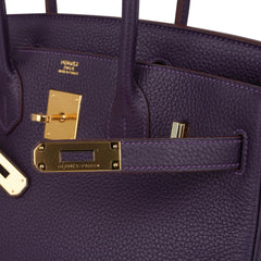 Birkin 30 Bag Raisin Rich Original Colour Gold Hardware Togo Leather