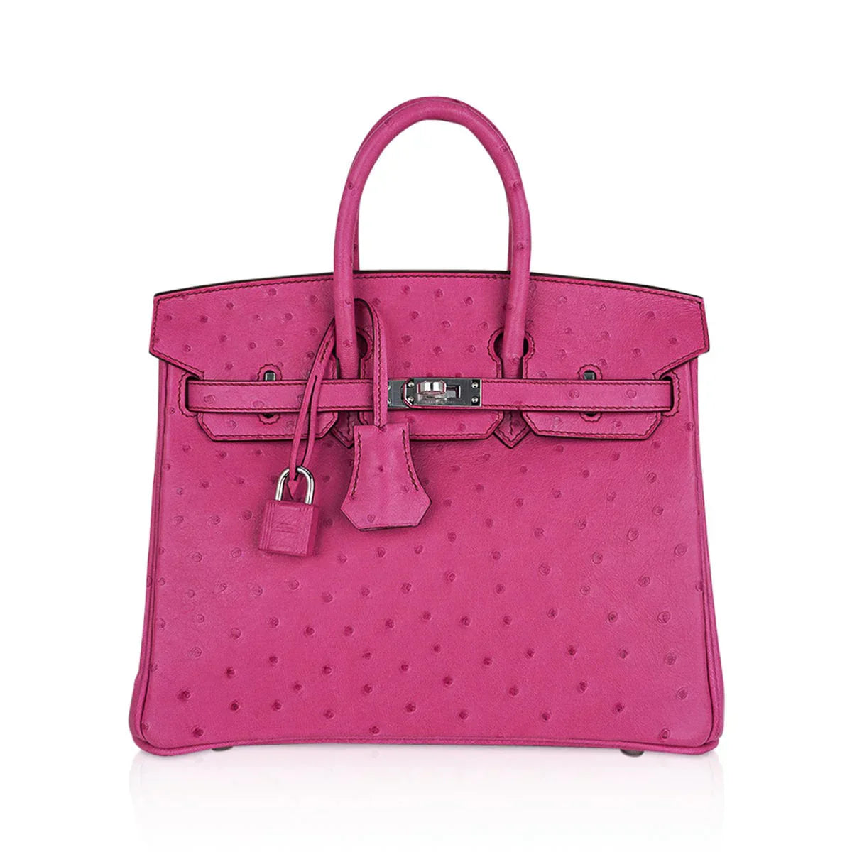 Birkin 25 Bag Fuchsia Ostrich with Palladium Hardware