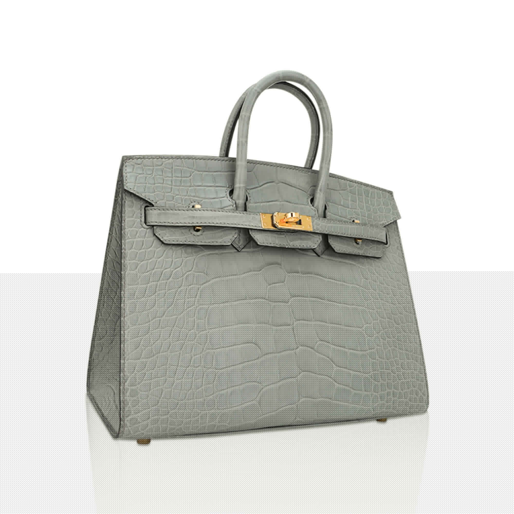Birkin 25 Bag Gris Ciment Matte Alligator with Gold Hardware